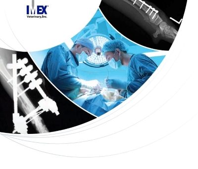 IMEX 2019 Catalogue